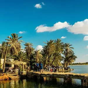 Explore Cultural and Eco Trip of Cairo, Alexandria and Siwa Oasis for 9 days with Pharaohn Tours and discover unforgettable experiences - Photo 11
