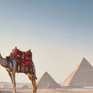 Explore Nefertiti Mini Tour for 6 days with Pharaohn Tours and discover unforgettable experiences - Photo 10