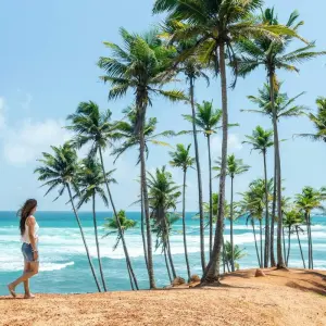 Explore Witness Beauty Of Sri Lanka for 8 days with Capital Lanka Tours and discover unforgettable experiences - Photo 11