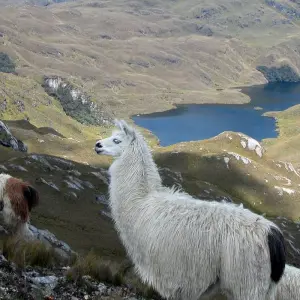 Explore Mainland Ecuador Tour from Highlands to Coastal Region for 8 days with Ecuador Wonders and discover unforgettable experiences - Photo 2