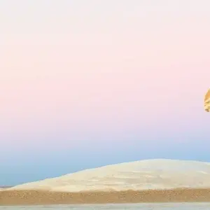 Explore Cairo : 3 Days Bahariya Oasis tour and the Camping in the White & Black Desert & Cairo Private Transfer for 3 days with Egypt Best Holidays  and discover unforgettable experiences - Photo 7