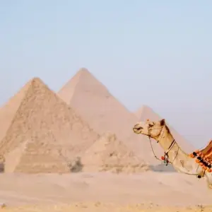 Explore Marvel Egypt 7 Days (Cairo, Nile Cruise & Sleeper Train Round Trip) for 7 days with Egypt Best Holidays  and discover unforgettable experiences - Photo 11