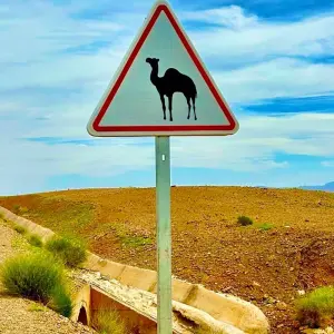 Explore 3 Day tour from Marrakech to Merzouga Sahara Desert and back for 3 days with Get Marrakech and discover unforgettable experiences - Photo 4