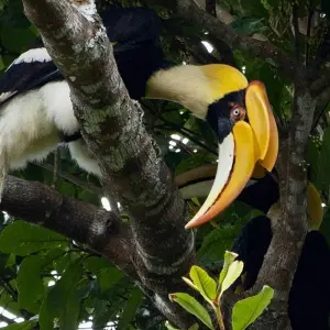 Explore South Vietnam & Cambodia to Bangkok - 15 days for 15 days with On The Go Tours and discover unforgettable experiences - Photo 2