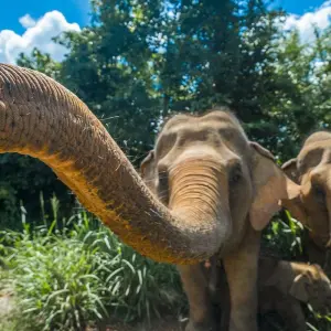 Explore South Vietnam & Cambodia to Bangkok - 15 days for 15 days with On The Go Tours and discover unforgettable experiences - Photo 3