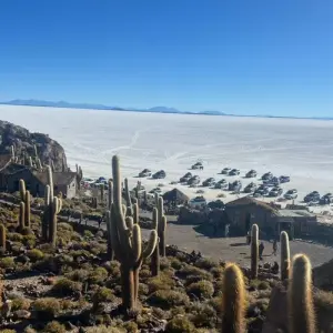 Explore Uyuni Odyssey: The Salt Desert Experience for 4 days with People Travel and Experience and discover unforgettable experiences - Photo 5