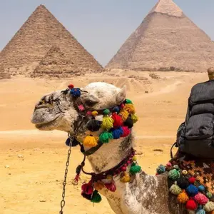 Explore Unveiling the Hidden Treasures of Egypt for 15 days with Pharaohn Tours and discover unforgettable experiences - Photo 10