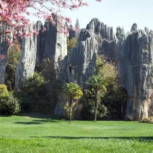 Explore Cultural Treasures of China and Thailand 16 Days for 16 days with Realistic Asia and discover unforgettable experiences - Photo 10