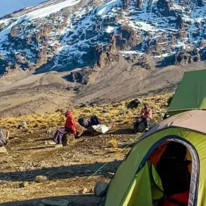 Explore The Most Complete Guide For 12 Days Kilimanjaro Trekking and Safari: The top Best Private Budget Safari Tour for 12 days with Africa Natural Tours and discover unforgettable experiences - Photo 3