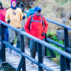 Explore The Most Complete Guide For 12 Days Kilimanjaro Trekking and Safari: The top Best Private Budget Safari Tour for 12 days with Africa Natural Tours and discover unforgettable experiences - Photo 4