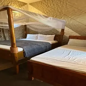 Explore Discover The World's Top Best 7-Day Tanzania Safari: The Best Safari in Tanzania for 2025/2026 for 7 days with Africa Natural Tours and discover unforgettable experiences - Photo 5