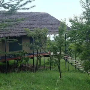 Explore Discover The 5-Day Serengeti Wildebeest Migration  Crossing The Mara River for 5 days with Africa Natural Tours and discover unforgettable experiences - Photo 5