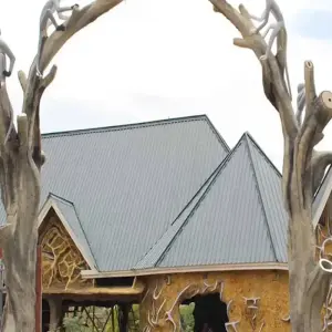 Explore Discover The World's Top Best 7-Day Tanzania Safari: The Best Safari in Tanzania for 2025/2026 for 7 days with Africa Natural Tours and discover unforgettable experiences - Photo 6