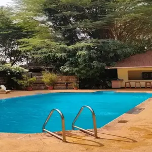 Explore Discover The World-Class 6-day Northern Serengeti Migration Safari during the Mara River Crossing in July, August and September for 6 days with Africa Natural Tours and discover unforgettable experiences - Photo 9