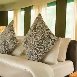 Explore The Top Best 6 Days Private Mid-range North Serengeti Migration Safari in Tanzania from Zanzibar for 6 days with Africa Natural Tours and discover unforgettable experiences - Photo 5