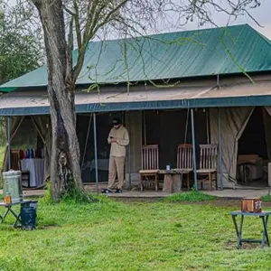 Explore 4-day Ndutu Serengeti Migration Safari for 4 days with Africa Natural Tours and discover unforgettable experiences - Photo 5