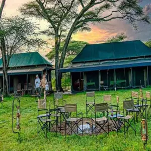 Explore 4-day Ndutu Serengeti Migration Safari for 4 days with Africa Natural Tours and discover unforgettable experiences - Photo 6
