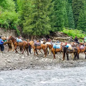 Explore Customized 8 Days Best Kazakhstan Family Tour, Daily Start & Exclusive Guide for 8 days with Agate Travel and discover unforgettable experiences - Photo 10