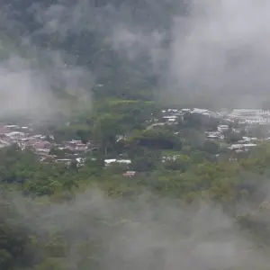 Explore Cloud Forest Safari for 5 days with Authentic Ecuador and discover unforgettable experiences - Photo 2