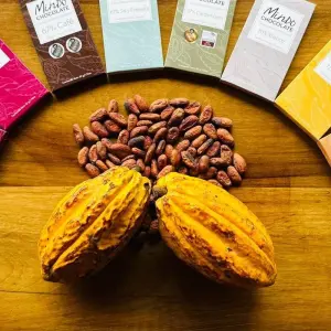 Explore Cloud Forest Safari for 5 days with Authentic Ecuador and discover unforgettable experiences - Photo 4