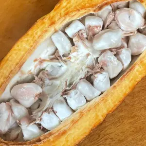 Explore Cloud Forest Safari for 5 days with Authentic Ecuador and discover unforgettable experiences - Photo 5