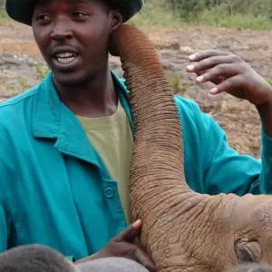 Explore CLASSIC JOURNEYS KIFARU AND BEACH SAFARI for 10 days with Classic Journeys Africa Ltd and discover unforgettable experiences - Photo 2