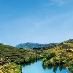 Explore Porto and the Douro Valley - AMALIA RODRIGUES for 6 days with CroisiEurope River Cruises and discover unforgettable experiences - Photo 2