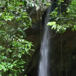 Explore Amazon Secrets - Presidente Figueiredo for 4 days with ETours Brazil DMC and discover unforgettable experiences - Photo 3