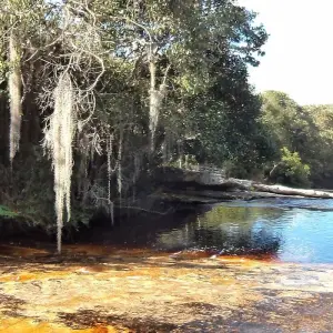 Explore Amazon Secrets - Presidente Figueiredo for 4 days with ETours Brazil DMC and discover unforgettable experiences - Photo 5