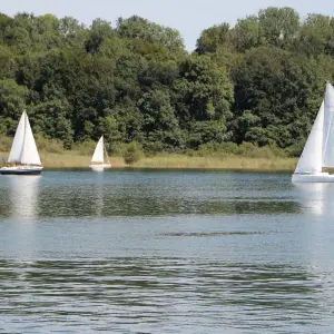 Explore DRIVING YOU THROUGH BAVARIA AND THE BLACK FOREST for 14 days with EUROLATINO Tour Operators and discover unforgettable experiences - Photo 5