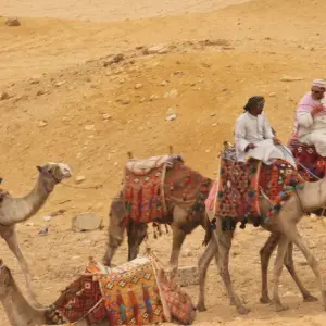 Explore BEST OF EGYPT AND THE RED SEA for 10 days with EUROLATINO Tour Operators and discover unforgettable experiences - Photo 9