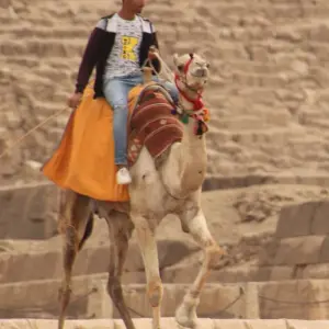 Explore BEST OF EGYPT AND THE RED SEA for 10 days with EUROLATINO Tour Operators and discover unforgettable experiences - Photo 10