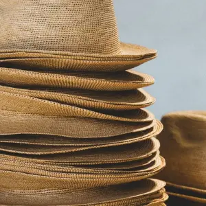 Explore 11 Days Discovering Mainland Ecuador : Nature Tour for 11 days with Ecuador Wonders and discover unforgettable experiences - Photo 4