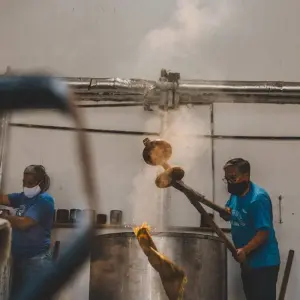 Explore 11 Days Discovering Mainland Ecuador : Nature Tour for 11 days with Ecuador Wonders and discover unforgettable experiences - Photo 5