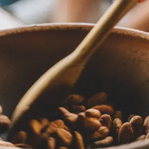 Explore 11 Days Discovering Mainland Ecuador : Nature Tour for 11 days with Ecuador Wonders and discover unforgettable experiences - Photo 7