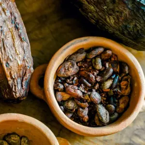 Explore 11 Days Discovering Mainland Ecuador : Nature Tour for 11 days with Ecuador Wonders and discover unforgettable experiences - Photo 8