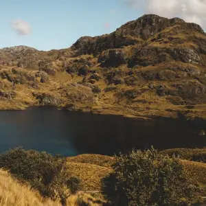 Explore 11 Days Discovering Mainland Ecuador : Nature Tour for 11 days with Ecuador Wonders and discover unforgettable experiences - Photo 9