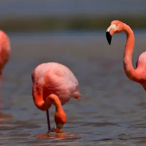 Explore Ecuador Wonders Bucket List Tour for 12 days with Ecuador Wonders and discover unforgettable experiences - Photo 11