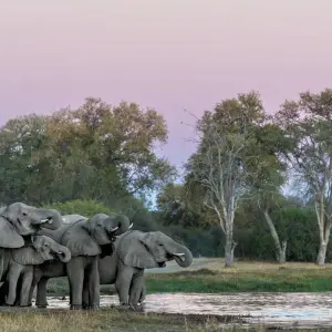 Explore Zimbabwe and Botswana Wildlife Safari for 14 days with Explore! and discover unforgettable experiences - Photo 4