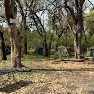 Explore Zimbabwe and Botswana Wildlife Safari for 14 days with Explore! and discover unforgettable experiences - Photo 5