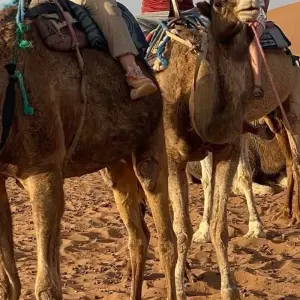 Explore 10 Days Morocco tour from Casablanca to Marrakech by Chefchaouen and Fes for 10 days with Get Marrakech and discover unforgettable experiences - Photo 5