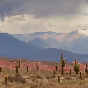 Explore Argentina: Tucumán, Salta, Cafayate, Humahuaca - 7 days for 7 days with Receptivo Aborigen Tours and discover unforgettable experiences - Photo 8