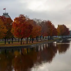 Explore Canada: Montreal Express - 4 days for 4 days with Receptivo Aborigen Tours and discover unforgettable experiences - Photo 6