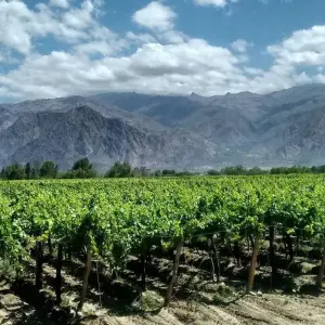 Explore Argentina: Salta y Jujuy - 5 days for 5 days with Receptivo Aborigen Tours and discover unforgettable experiences - Photo 10