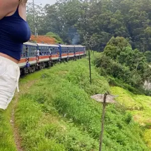 Explore Scenic Sri Lanka Train Tour 16 Day for 16 days with Stelaran Holidays (Pvt) Ltd and discover unforgettable experiences - Photo 4