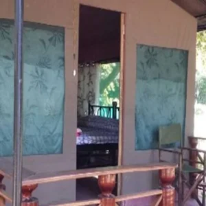 Explore Discover Your Comprehensive Guide to 3 Days Private Budget Nyerere Safari in Tanzania from Zanzibar for 3 days with Africa Natural Tours and discover unforgettable experiences - Photo 9