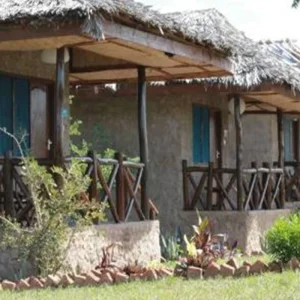 Explore The High-end 3-Day Fly-In Safari to Mikumi National Park from Zanzibar for 3 days with Africa Natural Tours and discover unforgettable experiences - Photo 4