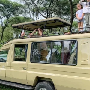 Explore The High-end 3-Day Fly-In Safari to Mikumi National Park from Zanzibar for 3 days with Africa Natural Tours and discover unforgettable experiences - Photo 5