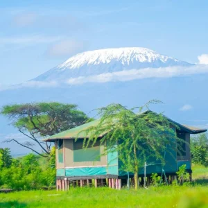 Explore Experience the Most Authentic, Personalised & Lowest-Cost 8-Day Kenya Private Budget Safari from Nairobi to Masai Mara, Lake Nakuru, Lake Naivasha & Amboseli for 8 days with Africa Natural Tours and discover unforgettable experiences - Photo 3