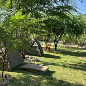 Explore Discover The Best 3-Day Serengeti Safari: A Unique Deal for Budget Serengeti Safari Tours for 3 days with Africa Natural Tours and discover unforgettable experiences - Photo 7